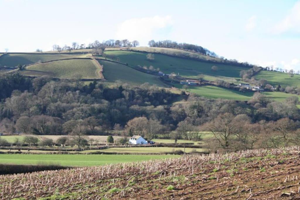 Rural Devon Retreat In Stunning Exe Valley. Exeter Exteriör bild